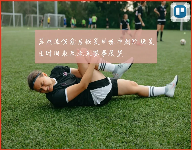 苏炳添伤愈后恢复训练冲刺阶段复出时间表及未来赛事展望